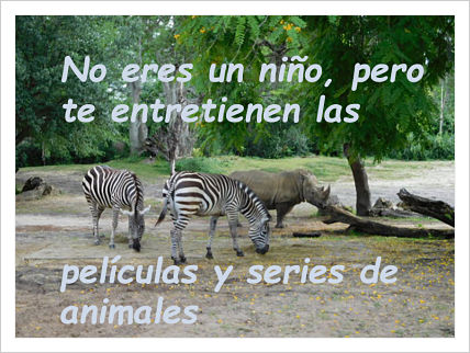 series-peliculas-juveniles-animales