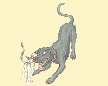 libro-juvenil-animales-el-café-de-los-gatos