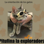 literatura-juvenil