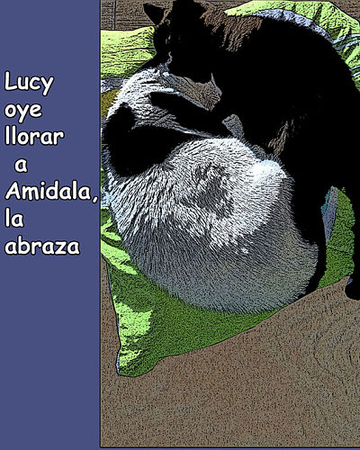 literatura-infantil-animales
